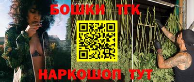 прущие крисы Аргун