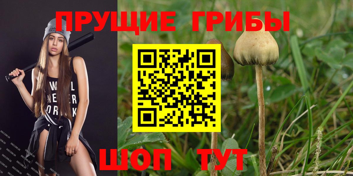 Берёзовский  Галлюциногенные грибы мицелий  дарнет шоп  Вход с VPN 