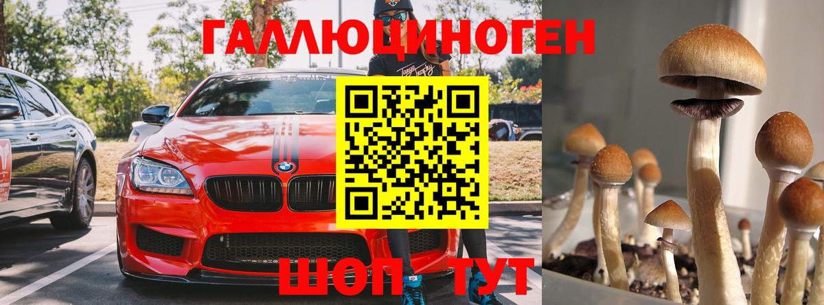 Галлюциногенные грибы Psilocybine cubensis  Галлюциногенные грибы мухоморы  даркнет сайт  Берёзовский 