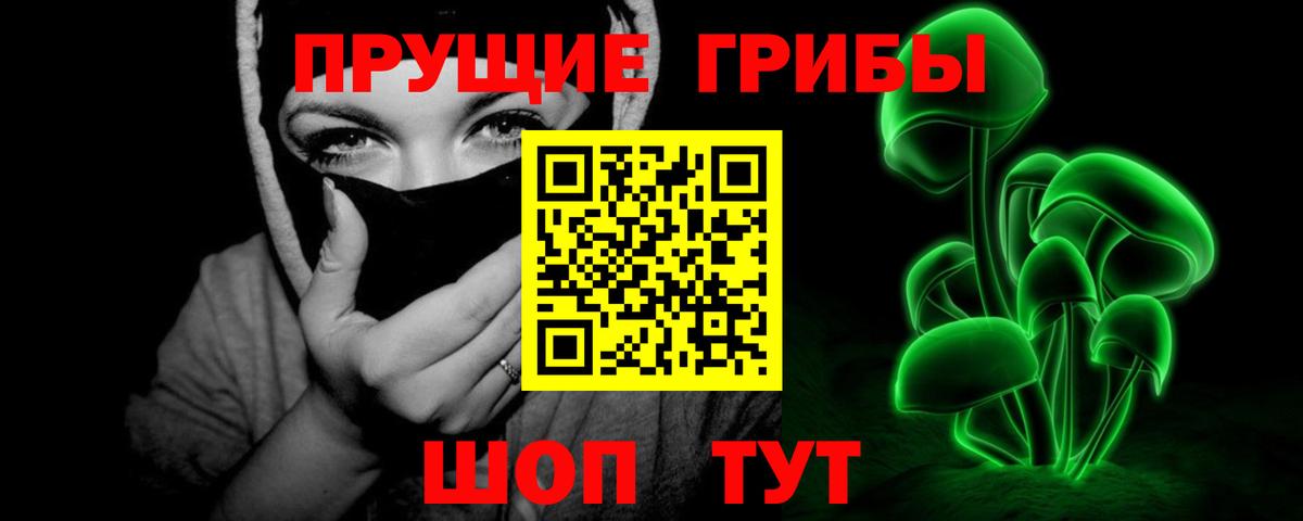 Псилоцибиновые грибы GOLDEN TEACHER Берёзовский